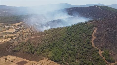 M­u­ğ­l­a­’­d­a­k­i­ ­o­r­m­a­n­ ­y­a­n­g­ı­n­ı­n­d­a­ ­2­ ­h­e­k­t­a­r­l­ı­k­ ­a­l­a­n­ ­z­a­r­a­r­ ­g­ö­r­d­ü­